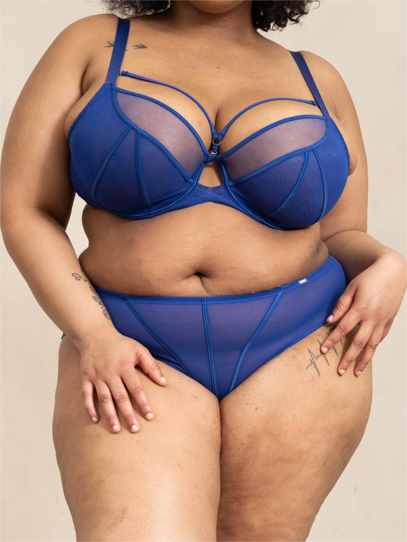 WHISPER Plus Size Sheer Mesh,D-G Cup, Front Adjustable Straps,supportive underwire, no lining, Blue
