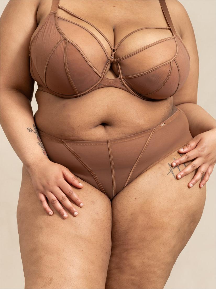 WHISPER Plus Size Sheer Mesh,D-G Cup, Front Adjustable Straps,supportive underwire, no lining, brown
