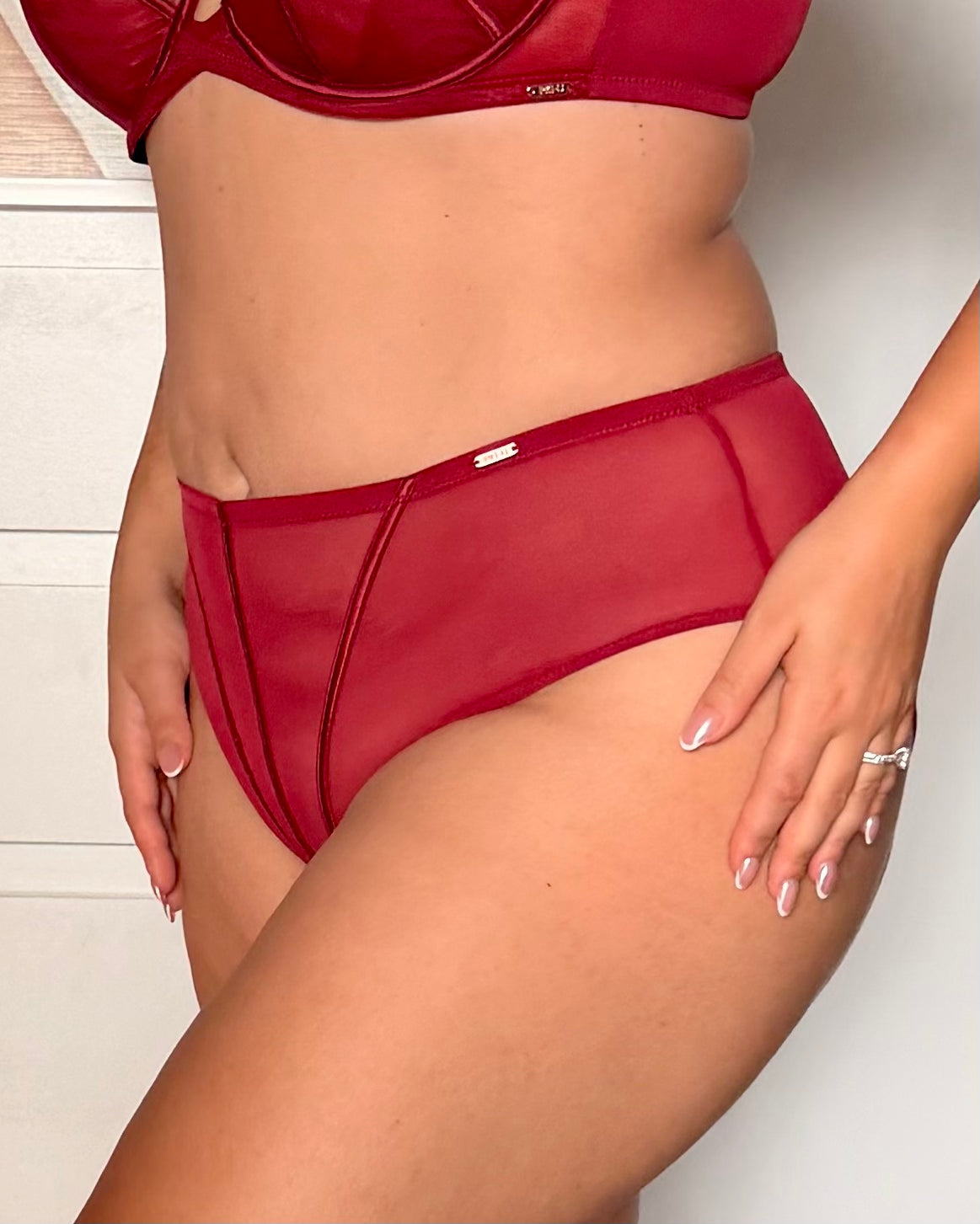 A close-up of a model wearing a matching red sheer mesh lingerie set, featuring a high-waisted brief and a matching bra top.